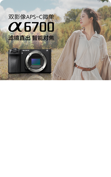 <span style="color:#068928">Alpha 6700<br>APS-C畫幅微單?</span>