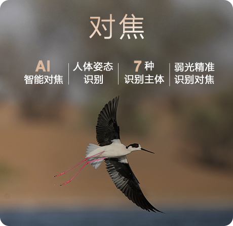 索尼影像旗艦