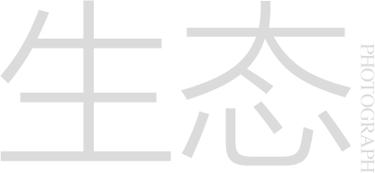 索尼影像旗艦