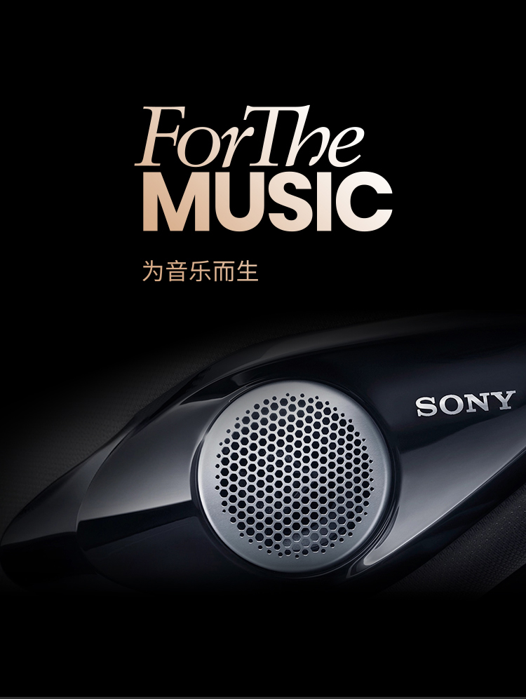 ForTheMusic