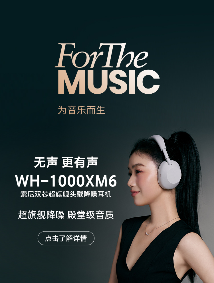 ForTheMusic