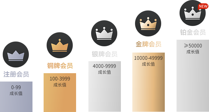 會(huì)員等級的劃分